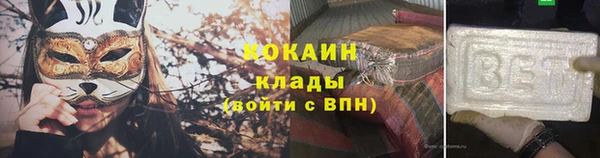 спиды Гусев
