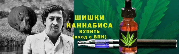 прущая мука Вяземский