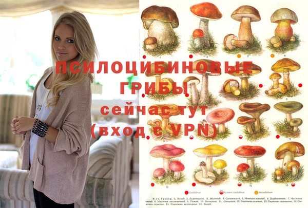 спайс Гусь-Хрустальный